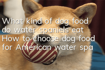 What kind of dog food do water spaniels eat? How to choose dog food for American water spaniels?