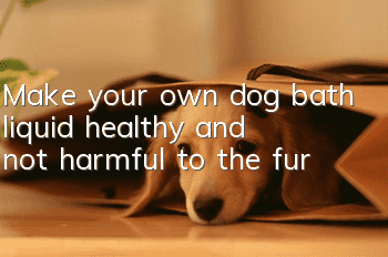 Make your own dog bath liquid, healthy and not harmful to the fur
