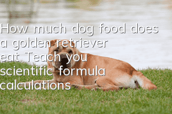 How much dog food does a golden retriever eat? Teach you scientific formula calculations