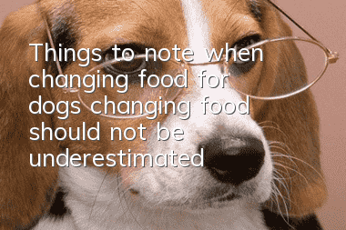 Things to note when changing food for dogs: changing food should not be underestimated
