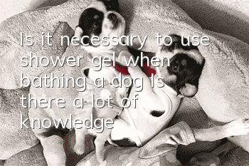 Is it necessary to use shower gel when bathing a dog? Is there a lot of knowledge?