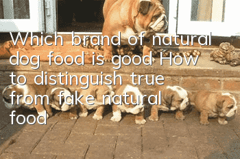 Which brand of natural dog food is good? How to distinguish true from fake natural food?