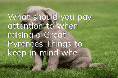 What should you pay attention to when raising a Great Pyrenees? Things to keep in mind when you have a Great Pyrenees at home.