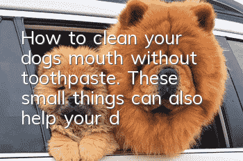 How to clean your dog’s mouth without toothpaste. These small things can also help your dog clean his mouth.