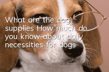 What are the dog supplies? How much do you know about daily necessities for dogs?