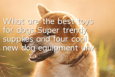 What are the best toys for dogs? Super trendy supplies and four cool new dog equipment unveiled