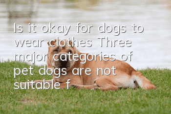 Is it okay for dogs to wear clothes? Three major categories of pet dogs are not suitable for wearing clothes