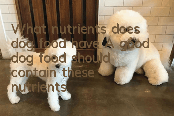 What nutrients does dog food have? A good dog food should contain these nutrients