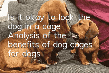 Is it okay to lock the dog in a cage? Analysis of the benefits of dog cages for dogs
