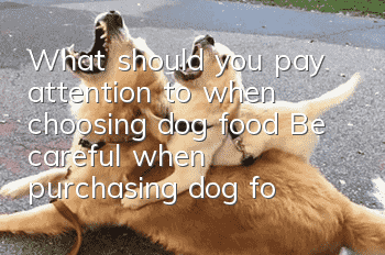 What should you pay attention to when choosing dog food? Be careful when purchasing dog food and don’t fall into four misunderstandings