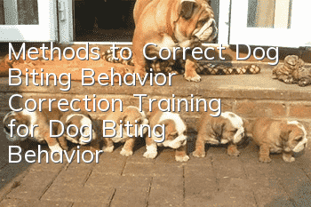 Methods to Correct Dog Biting Behavior Correction Training for Dog Biting Behavior