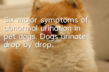 Six major symptoms of abnormal urination in pet dogs. Dogs urinate drop by drop.
