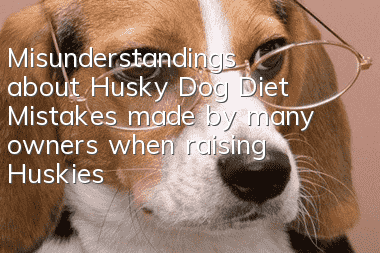 Misunderstandings about Husky Dog Diet Mistakes made by many owners when raising Huskies