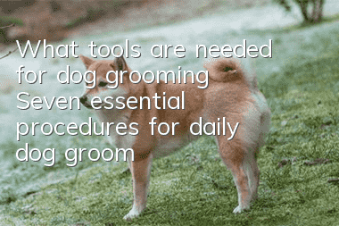 What tools are needed for dog grooming? Seven essential procedures for daily dog grooming