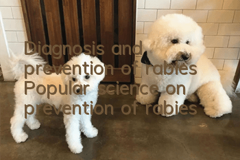 Diagnosis and prevention of rabies Popular science on prevention of rabies