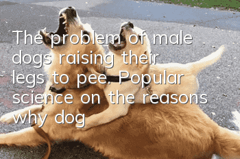The problem of male dogs raising their legs to pee. Popular science on the reasons why dogs raise their legs to pee.