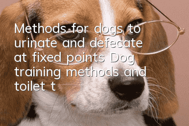Methods for dogs to urinate and defecate at fixed points Dog training methods and toilet training