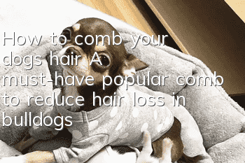 How to comb your dog’s hair? A must-have popular comb to reduce hair loss in bulldogs