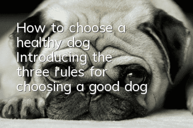 How to choose a healthy dog Introducing the three rules for choosing a good dog
