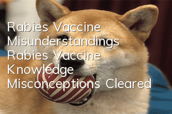 Rabies Vaccine Misunderstandings Rabies Vaccine Knowledge Misconceptions Cleared