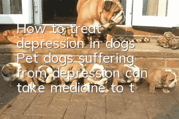 How to treat depression in dogs? Pet dogs suffering from depression can take medicine to treat it
