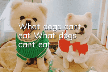 What dogs can't eat What dogs can't eat