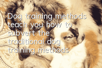Dog training methods teach you how to subvert the traditional dog training methods