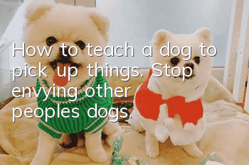 How to teach a dog to pick up things. Stop envying other people’s dogs.