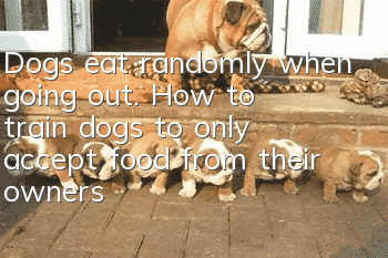 Dogs eat randomly when going out. How to train dogs to only accept food from their owners?