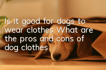 Is it good for dogs to wear clothes? What are the pros and cons of dog clothes?