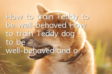 How to train Teddy to be well-behaved? How to train Teddy dog to be well-behaved and obedient!