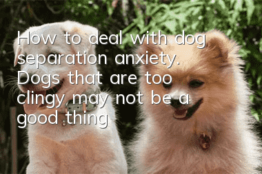 How to deal with dog separation anxiety. Dogs that are too clingy may not be a good thing