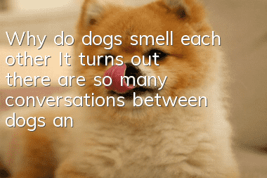 Why do dogs smell each other? It turns out there are so many conversations between dogs and their own kind