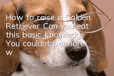 How to raise a Golden Retriever? Can you eat this basic knowledge? You couldn’t be more wrong!