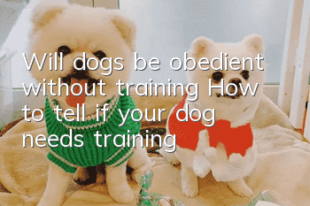 Will dogs be obedient without training? How to tell if your dog needs training?
