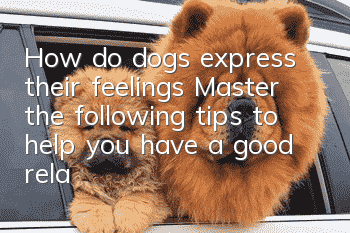 How do dogs express their feelings? Master the following tips to help you have a good relationship with dogs
