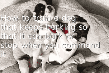 How to train a dog that keeps barking so that it can bark or stop when you command it?