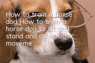 How to train a horse dog? How to train a horse dog to sit and stand and other basic movements