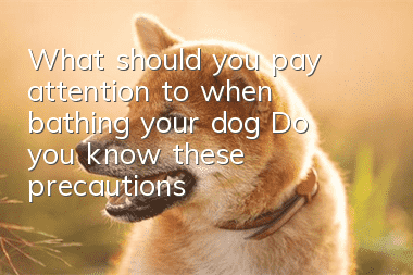 What should you pay attention to when bathing your dog? Do you know these precautions?