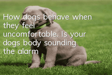 How dogs behave when they feel uncomfortable. Is your dog’s body sounding the alarm?