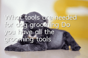 What tools are needed for dog grooming? Do you have all the grooming tools?
