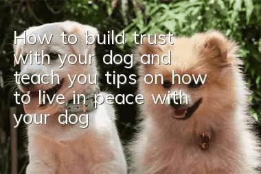 How to build trust with your dog and teach you tips on how to live in peace with your dog