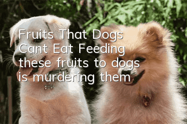 Fruits That Dogs Can’t Eat Feeding these fruits to dogs is murdering them!