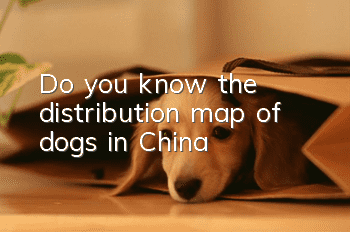 Do you know the distribution map of dogs in China?
