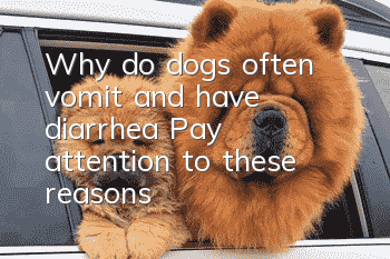 Why do dogs often vomit and have diarrhea? Pay attention to these reasons