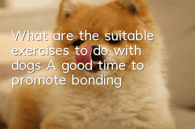 What are the suitable exercises to do with dogs? A good time to promote bonding
