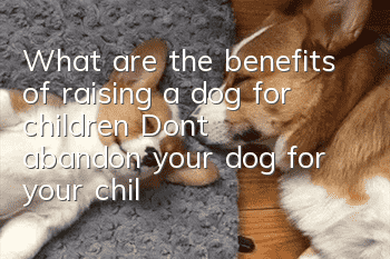 What are the benefits of raising a dog for children? Don’t abandon your dog for your children again