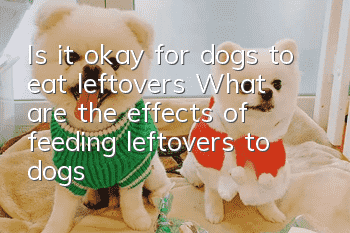 Is it okay for dogs to eat leftovers? What are the effects of feeding leftovers to dogs?