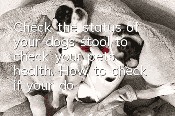 Check the status of your dog’s stool to check your pet’s health. How to check if your dog’s stool is normal.