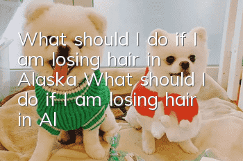 What should I do if I am losing hair in Alaska? What should I do if I am losing hair in Alaska?